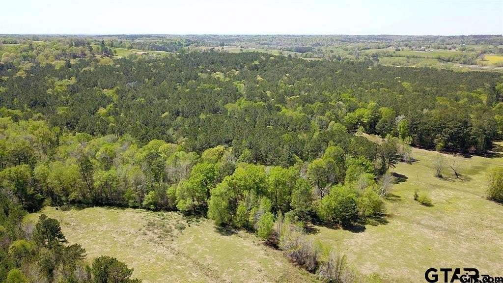 56.445 Acres of Agricultural Land for Sale in Frankston, Texas