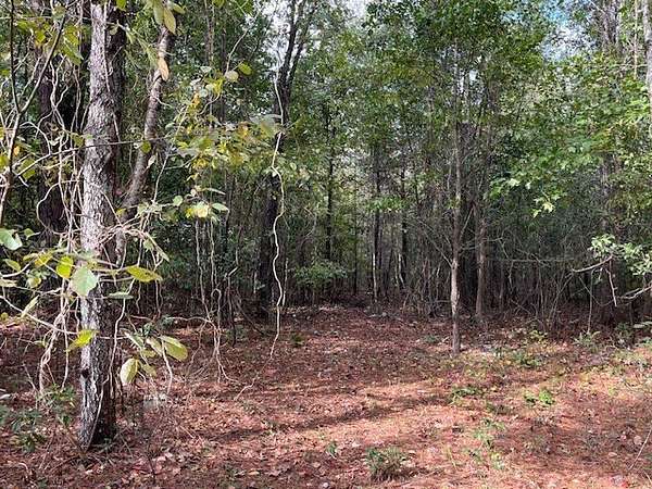 0.96 Acres of Residential Land for Sale in Manning, South Carolina