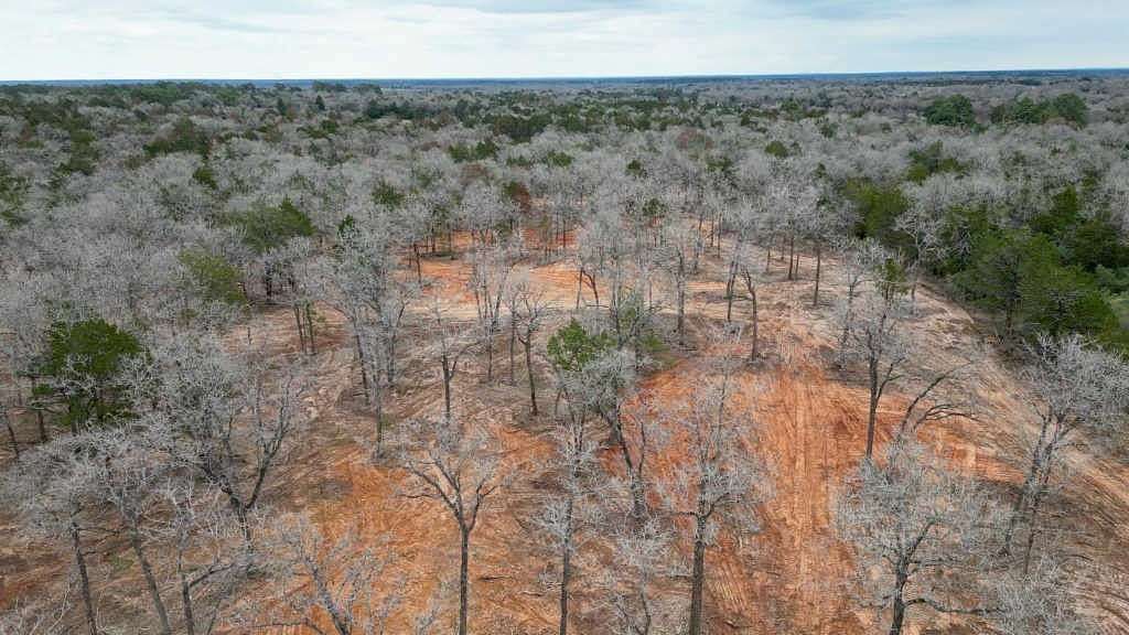 14.5 Acres of Land for Sale in Smithville, Texas