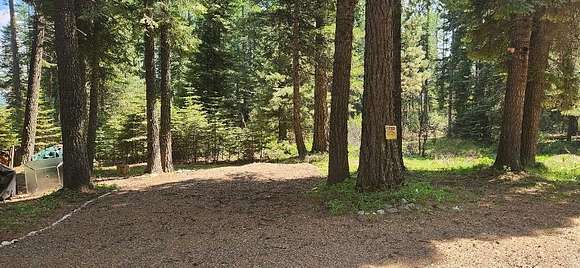 1 Acre of Land for Sale in Donnelly, Idaho