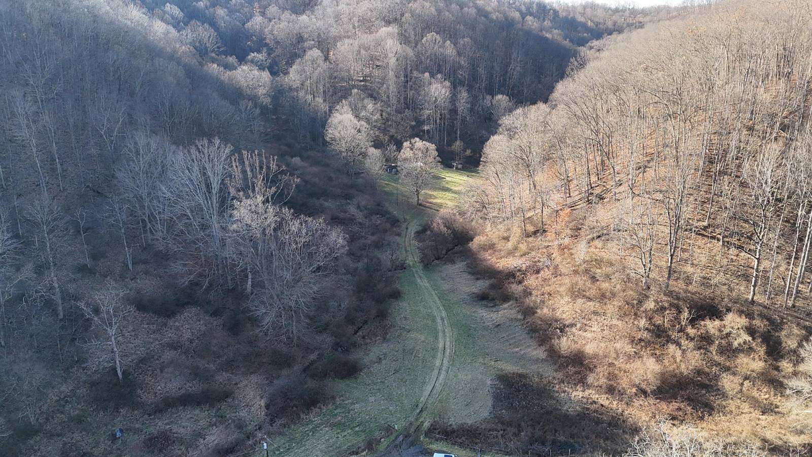 105.09 Acres of Recreational Land & Farm for Auction in Jane Lew, West Virginia