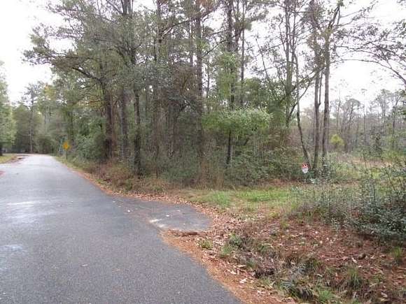 12 Acres of Recreational Land for Sale in Lacombe, Louisiana