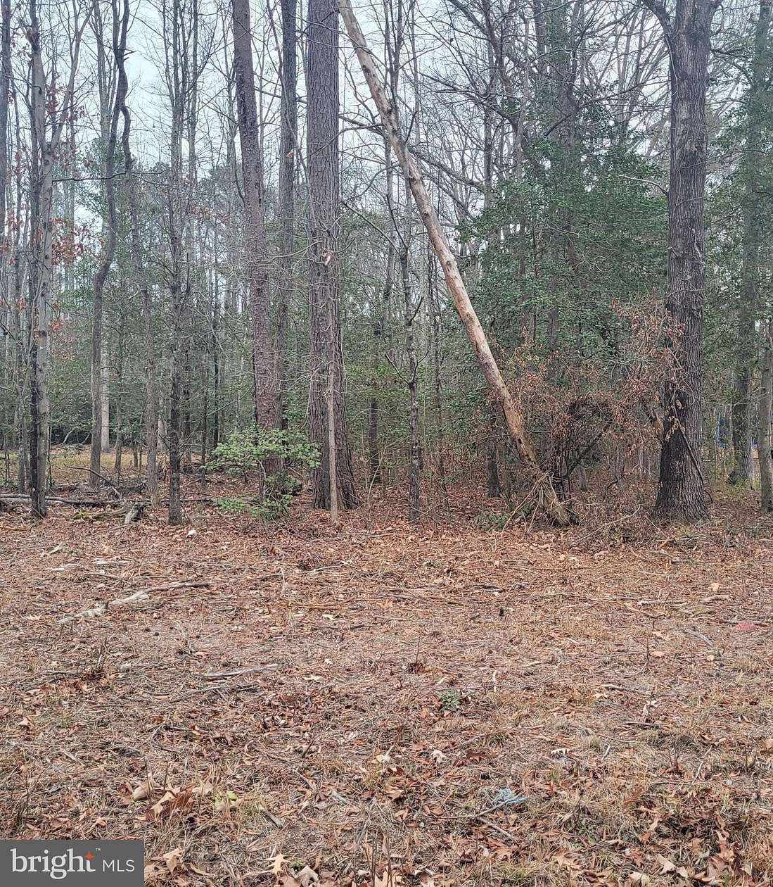 0.24 Acres of Residential Land for Sale in Colonial Beach, Virginia