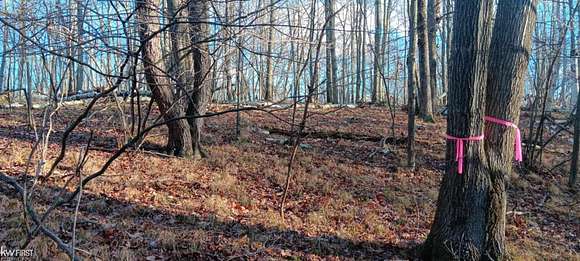 0.92 Acres of Residential Land for Sale in Farwell, Michigan