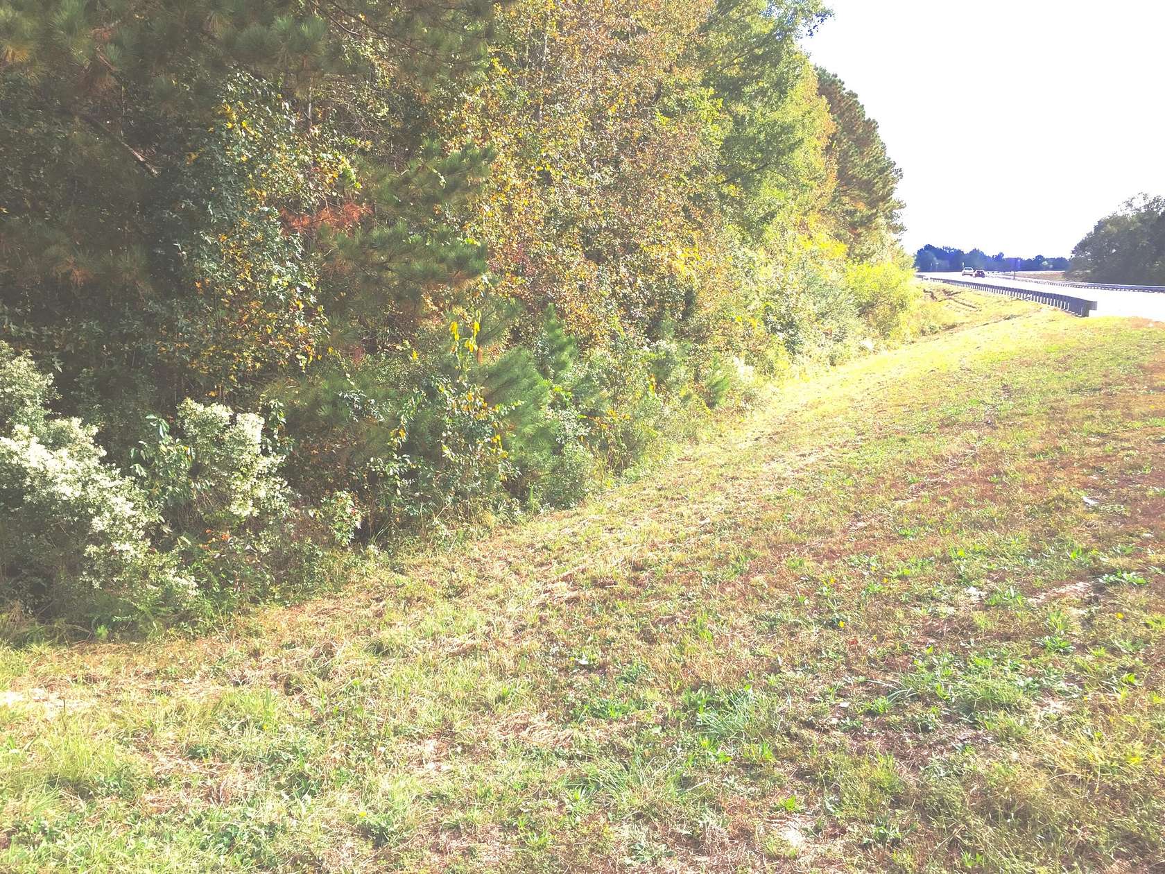 21.4 Acres of Land for Sale in Thomson, Georgia