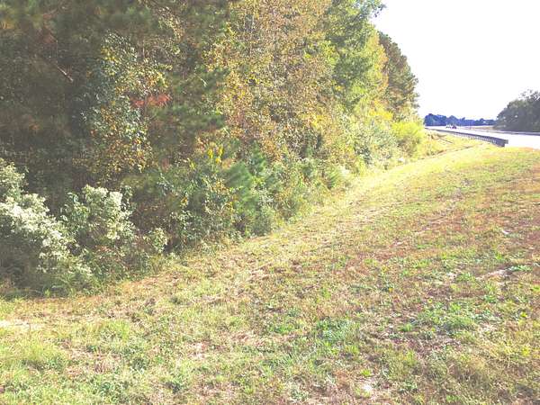 21.4 Acres of Land for Sale in Thomson, Georgia