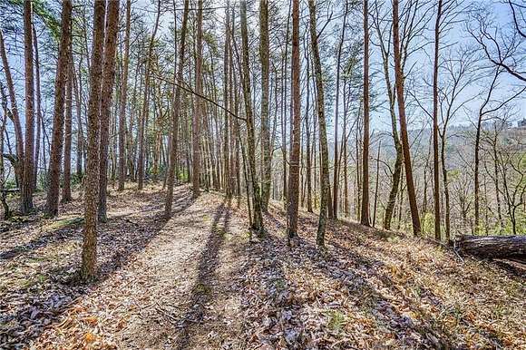 13.1 Acres of Land for Sale in Jasper, Georgia