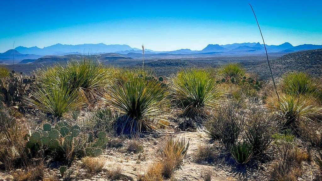 20 Acres of Recreational Land for Sale in Terlingua, Texas