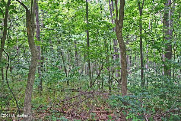 5.32 Acres of Land for Sale in Frankfort, Kentucky