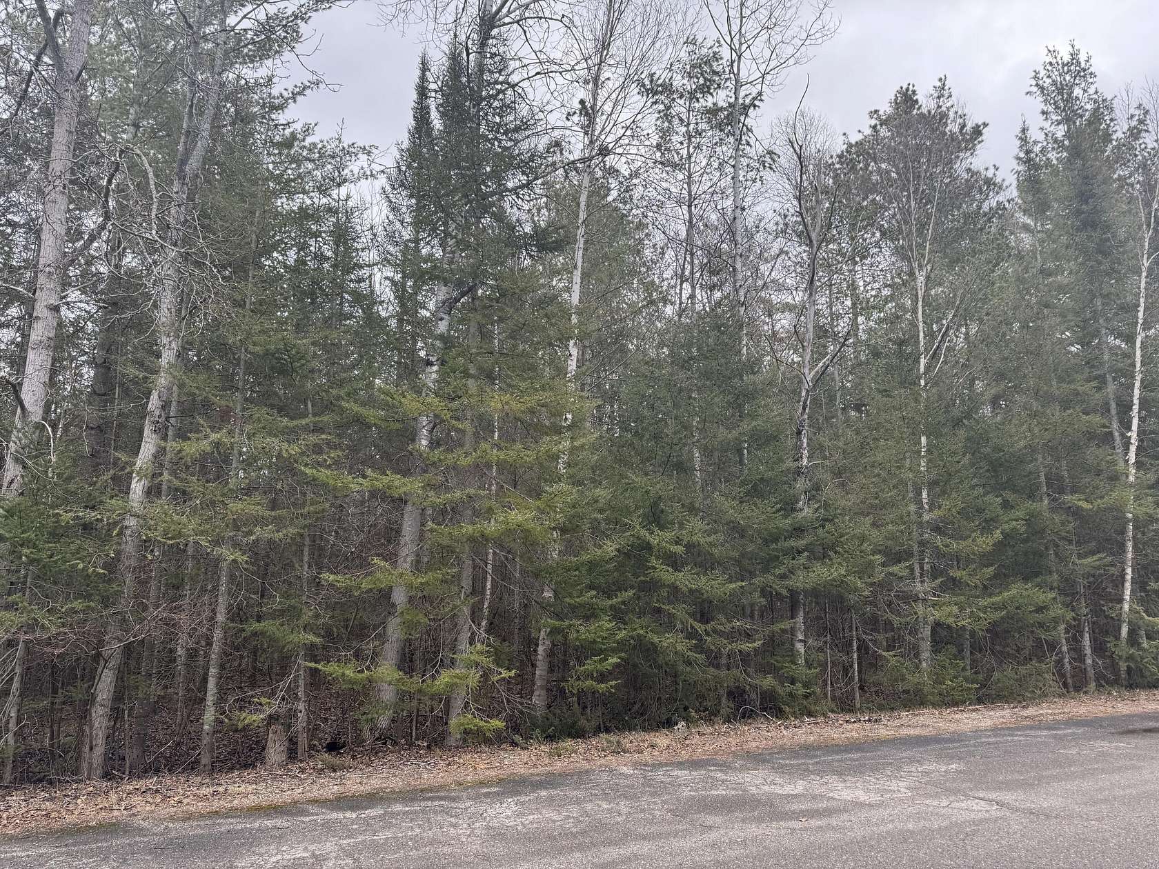 0.38 Acres of Residential Land for Sale in Presque Isle, Michigan