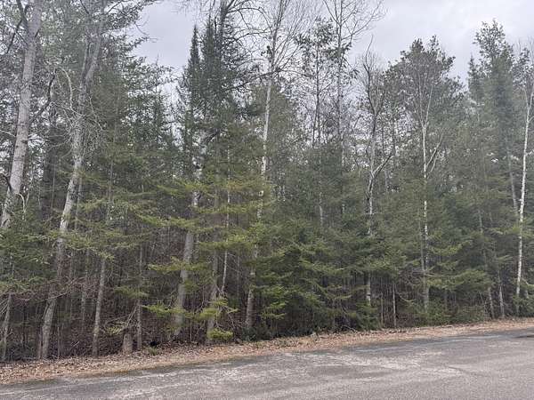 0.38 Acres of Residential Land for Sale in Presque Isle, Michigan