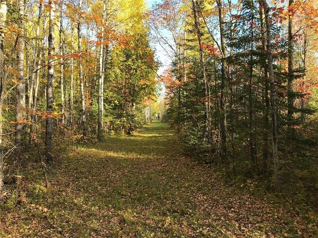 240 Acres of Recreational Land with Home for Sale in Birchdale, Minnesota