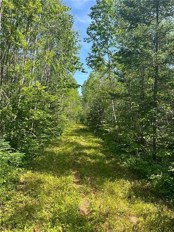 240 Acres of Recreational Land with Home for Sale in Birchdale, Minnesota