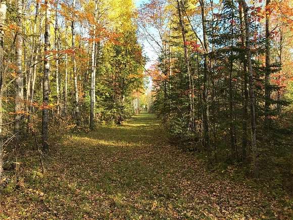 240 Acres of Recreational Land with Home for Sale in Birchdale, Minnesota