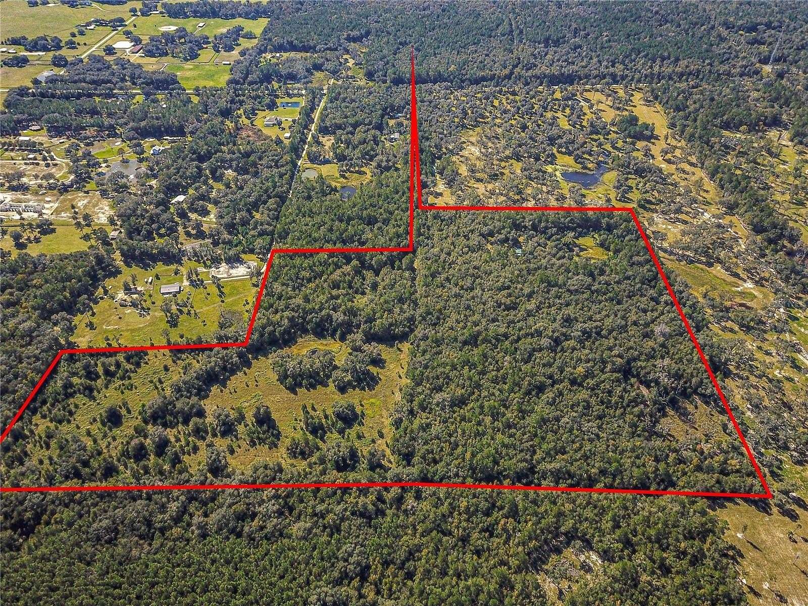 70.04 Acres of Recreational Land & Farm for Sale in Reddick, Florida