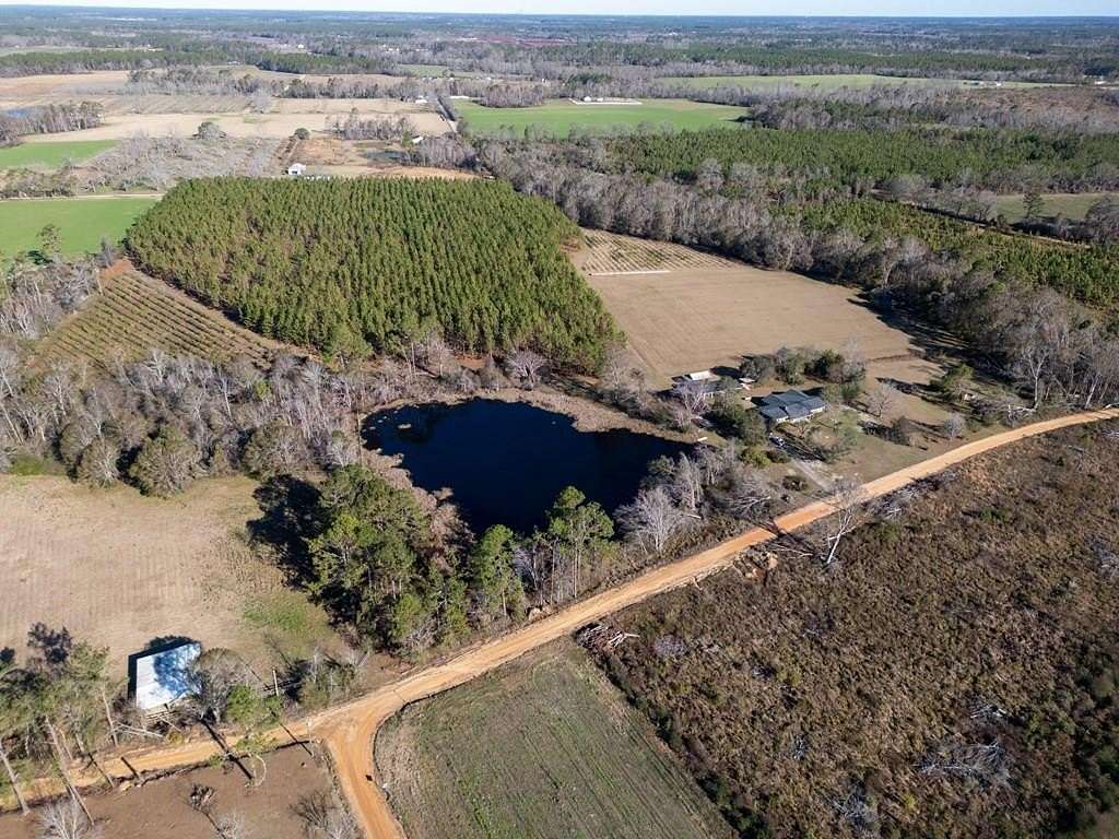 41.8 Acres of Land with Home for Sale in Baxley, Georgia