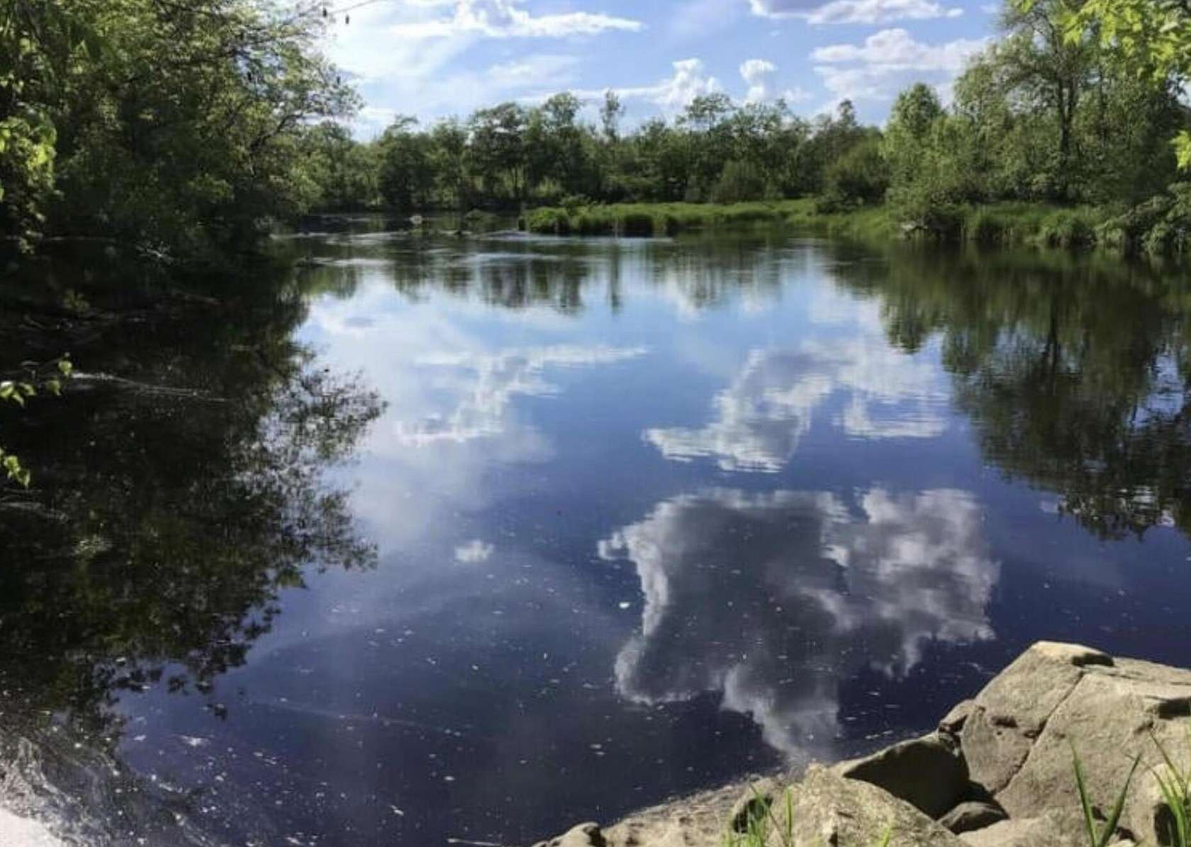 25 Acres of Land for Sale in Baring Plantation, Maine