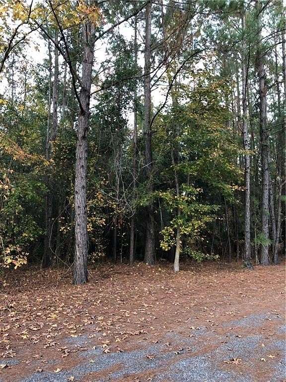 0.56 Acres of Residential Land for Sale in Brunswick, Georgia