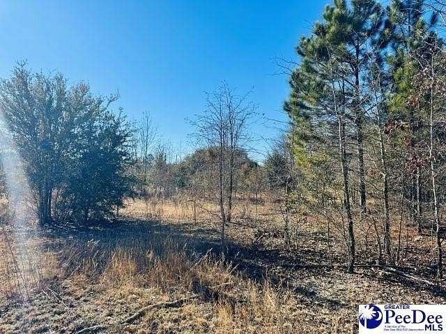 1 Acre of Residential Land for Sale in Bennettsville, South Carolina