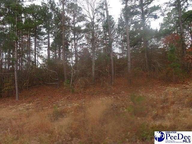 0.85 Acres of Residential Land for Sale in Hartsville, South Carolina