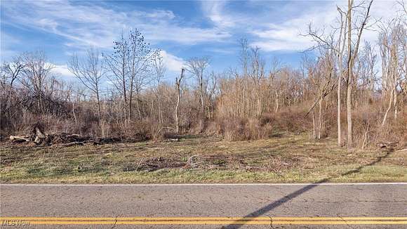 4.028 Acres of Residential Land for Sale in Mogadore, Ohio