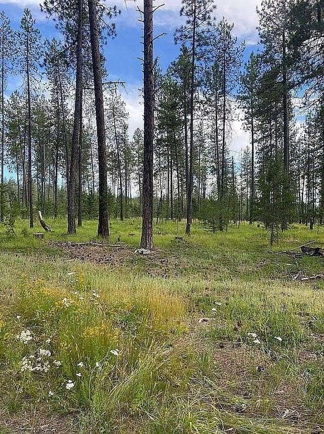 10 Acres of Land for Sale in Elk, Washington