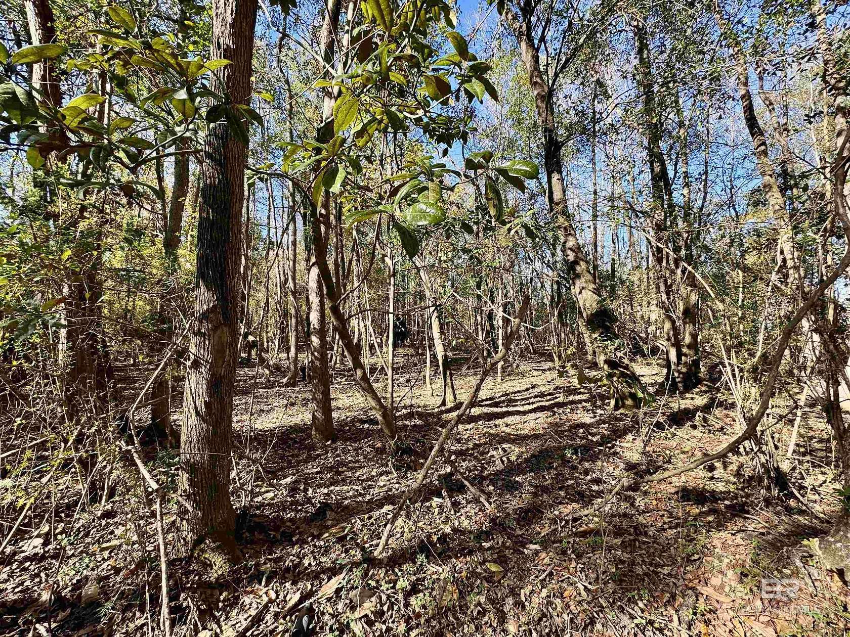 0.84 Acres of Residential Land for Sale in Atmore, Alabama