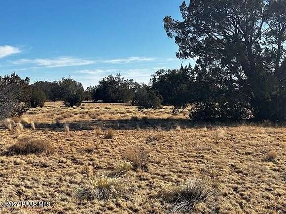 10 Acres of Residential Land for Sale in Seligman, Arizona