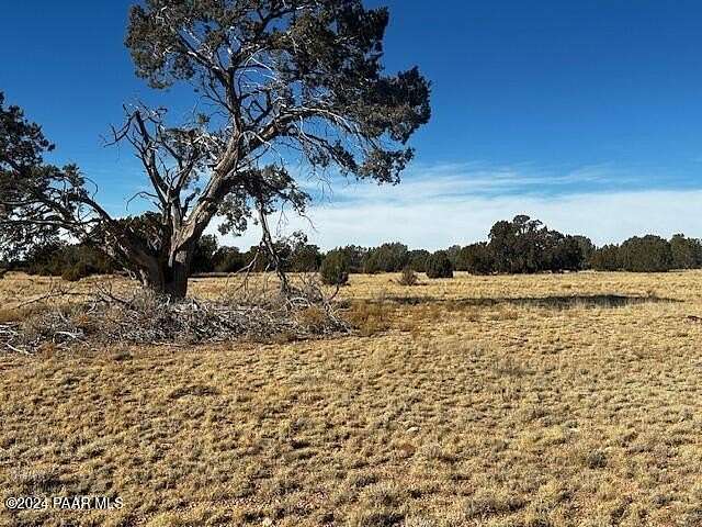 10 Acres of Residential Land for Sale in Seligman, Arizona