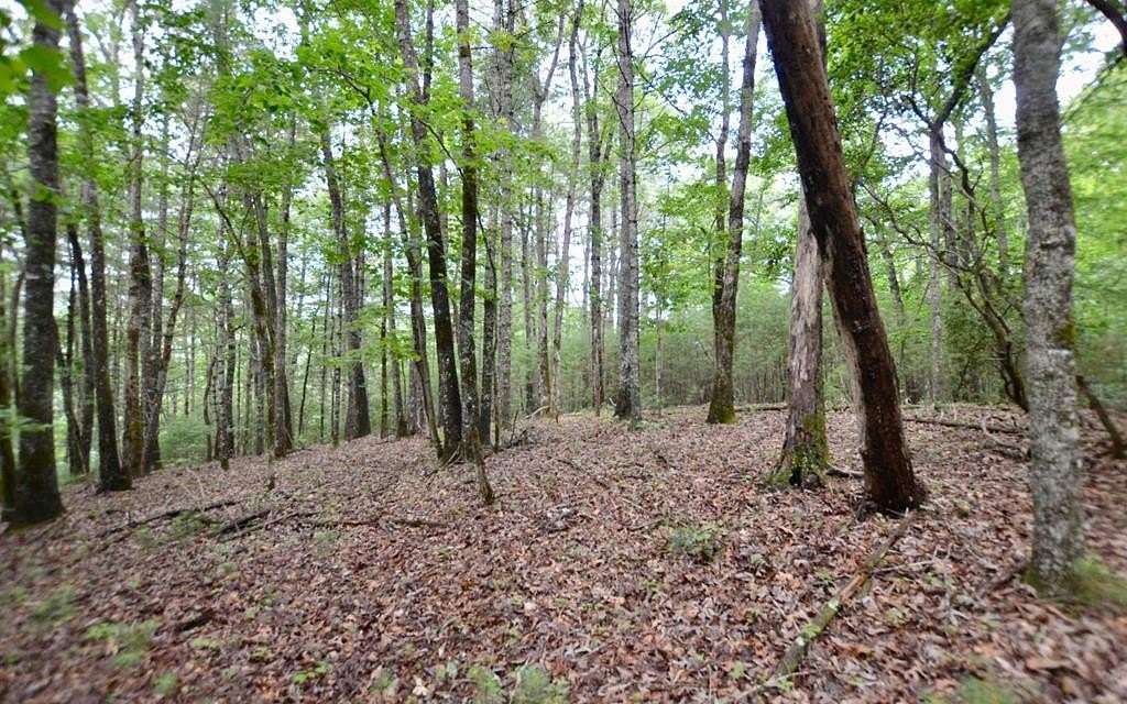 1 Acre of Residential Land for Sale in Hiawassee, Georgia