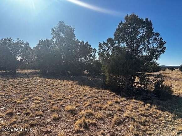 10 Acres of Residential Land for Sale in Seligman, Arizona