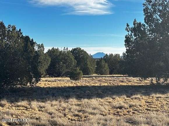 10 Acres of Residential Land for Sale in Seligman, Arizona