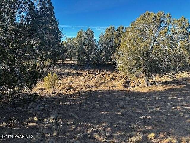 10 Acres of Residential Land for Sale in Seligman, Arizona