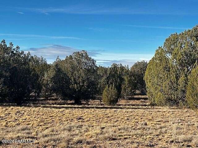 10 Acres of Recreational Land for Sale in Seligman, Arizona