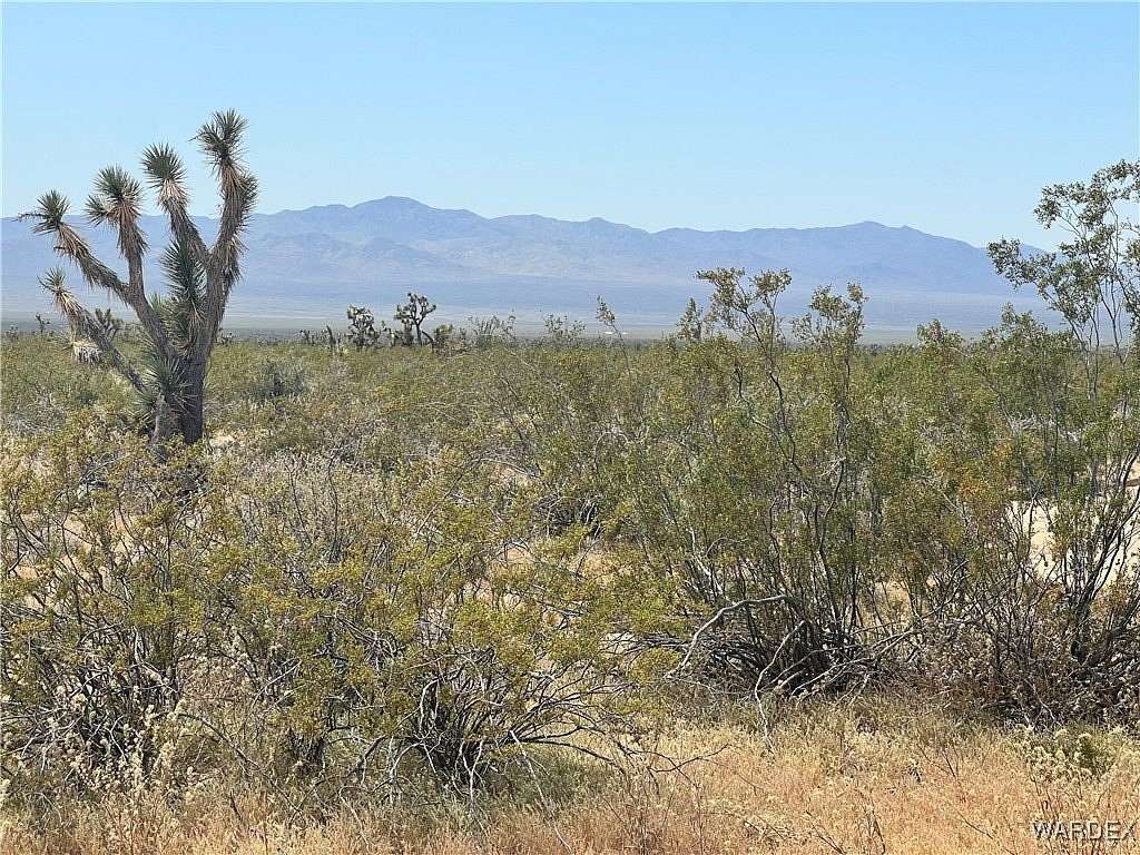 39.98 Acres of Land for Sale in Yucca, Arizona