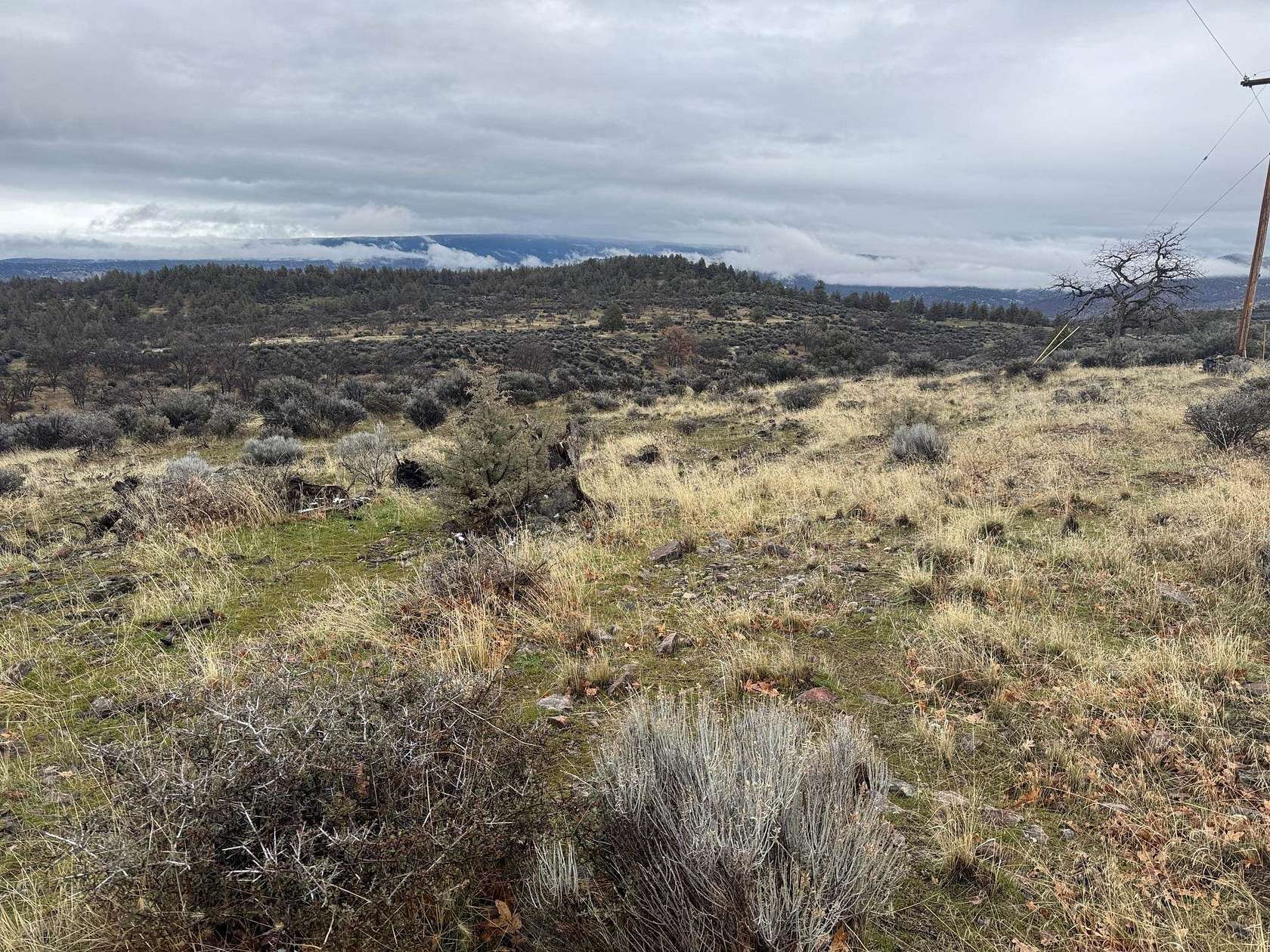 1 Acre of Residential Land for Sale in Montague, California
