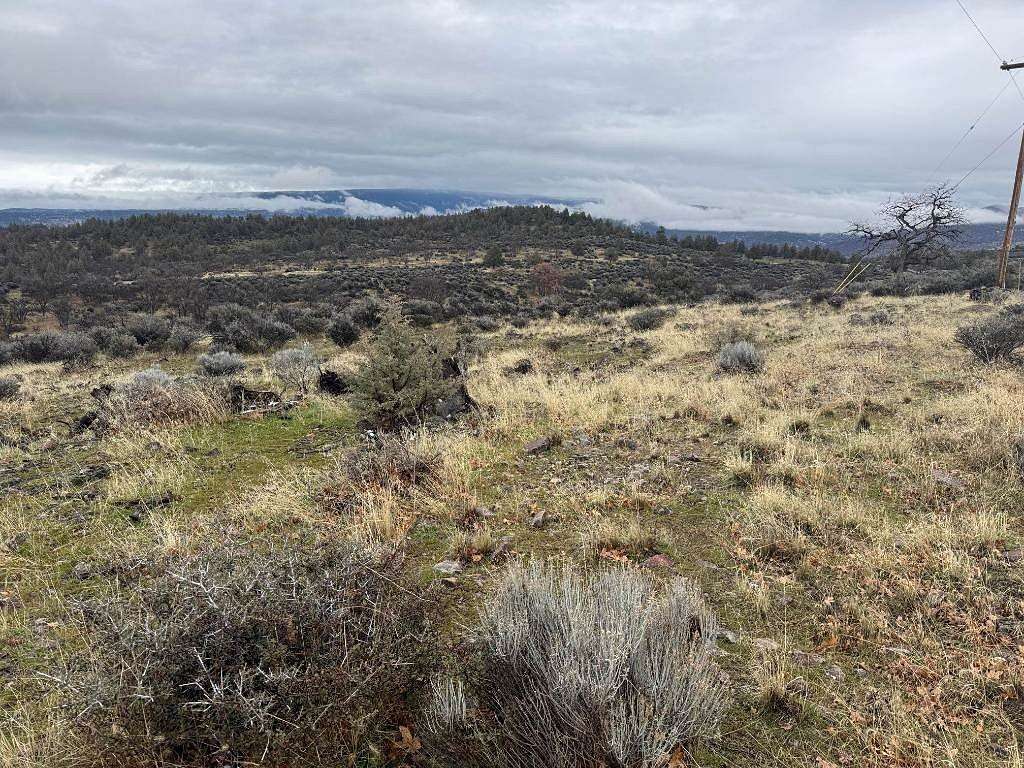 1 Acre of Residential Land for Sale in Montague, California