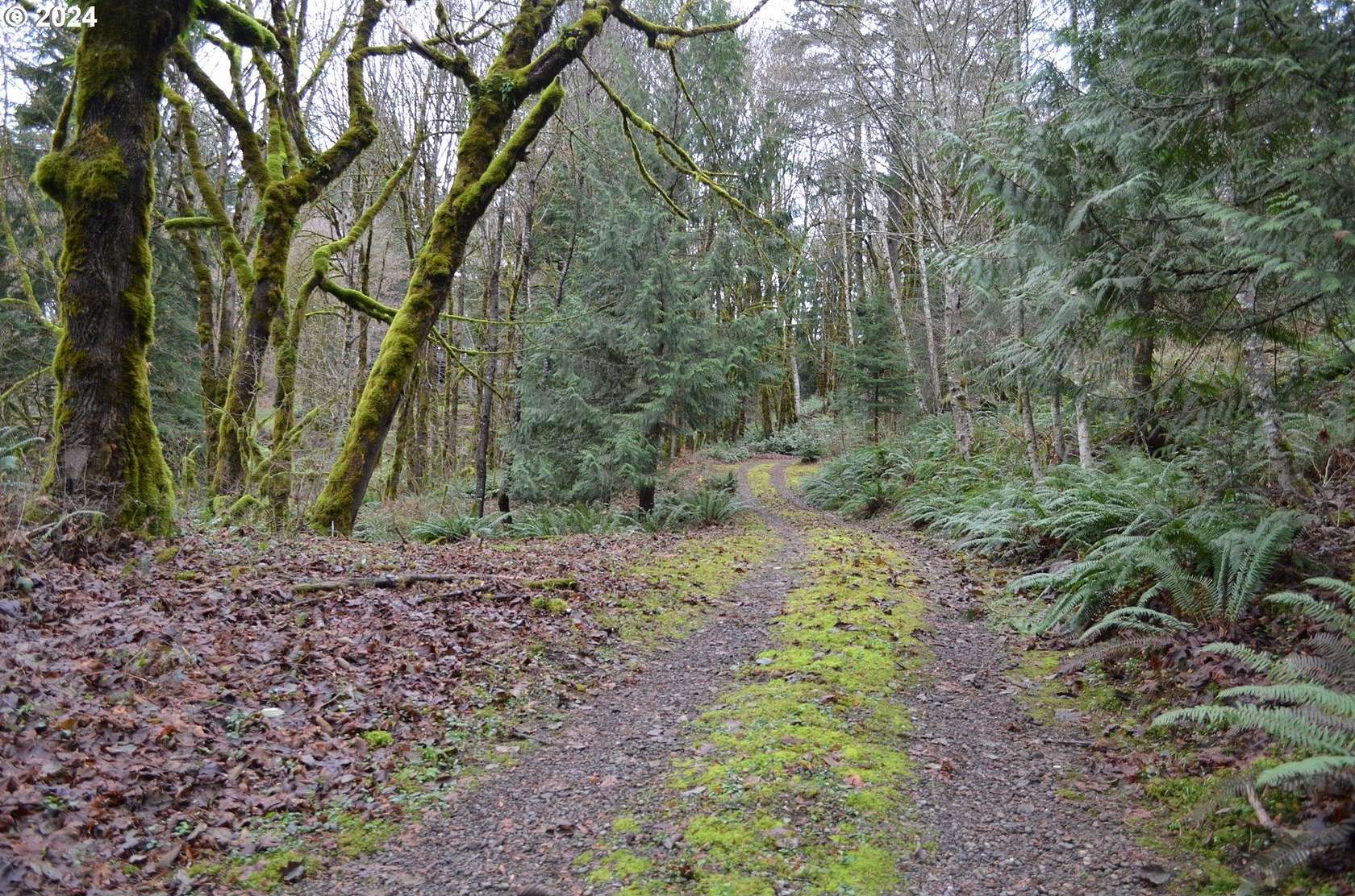 5 Acres of Residential Land for Sale in Washougal, Washington