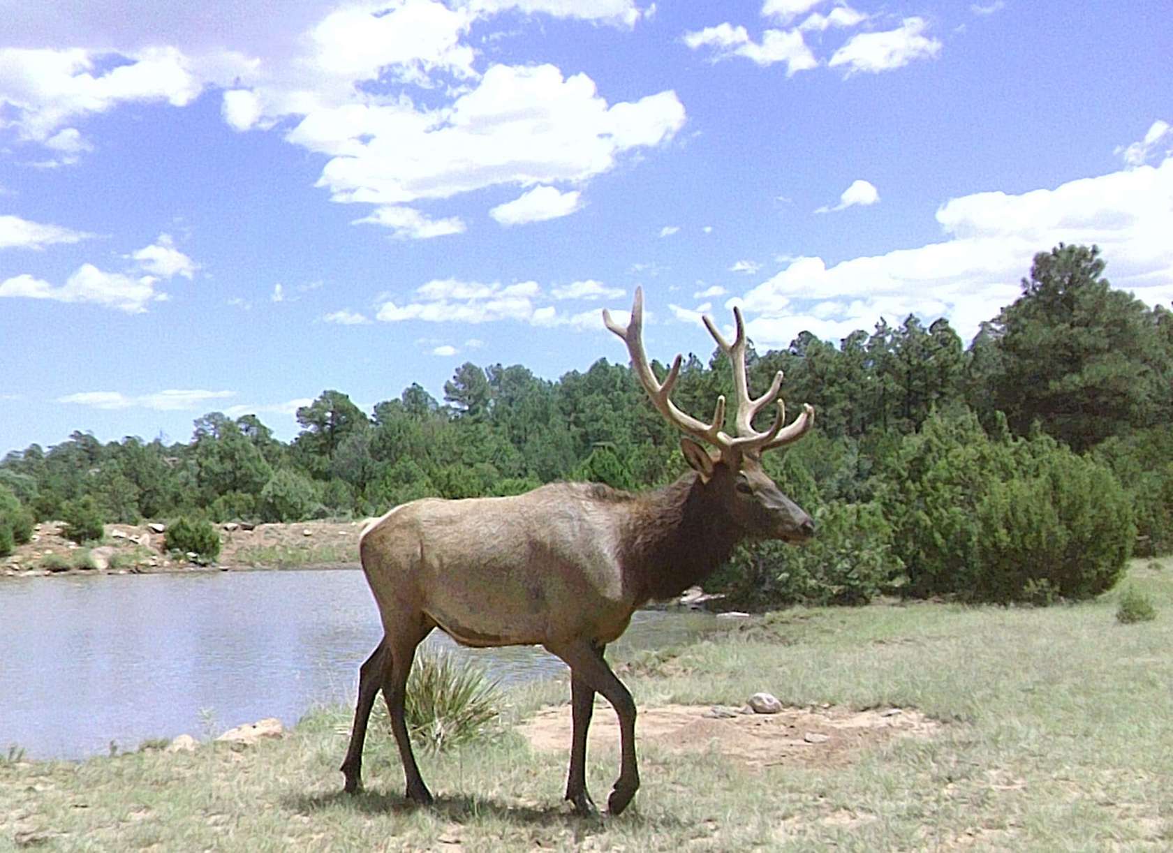 2,578 Acres of Recreational Land & Farm for Sale in Trujillo, New Mexico