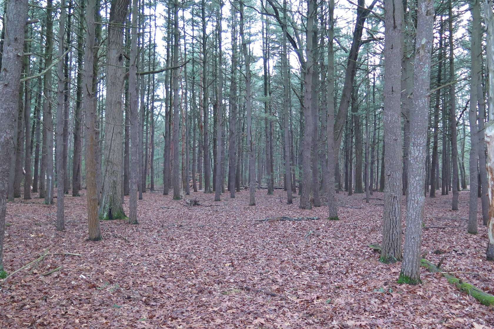 13.5 Acres of Land for Sale in Muskegon, Michigan