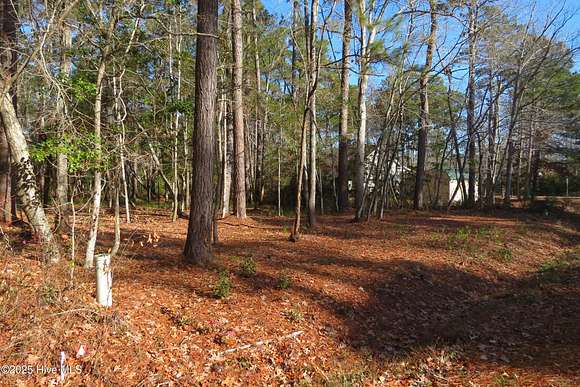 0.4 Acres of Residential Land for Sale in Oriental, North Carolina