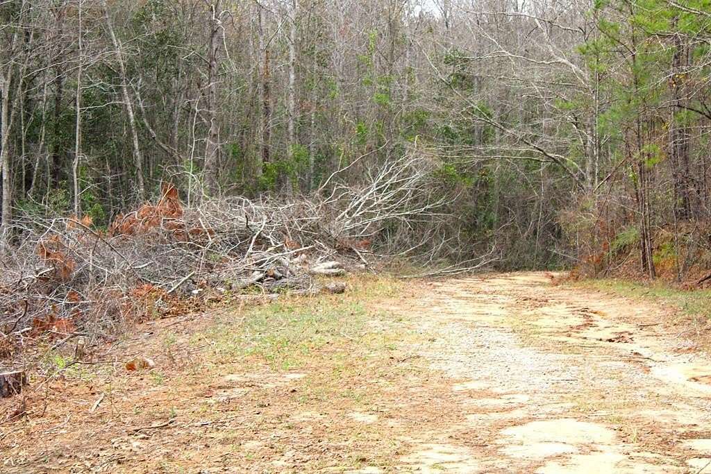 5.03 Acres of Residential Land for Sale in Cusseta, Georgia