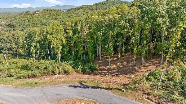 4 Acres of Residential Land for Sale in Talking Rock, Georgia