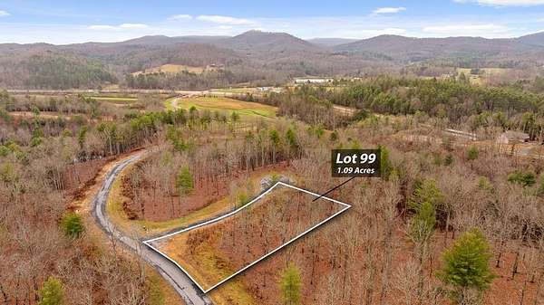 1 Acre of Residential Land for Sale in Morganton, Georgia