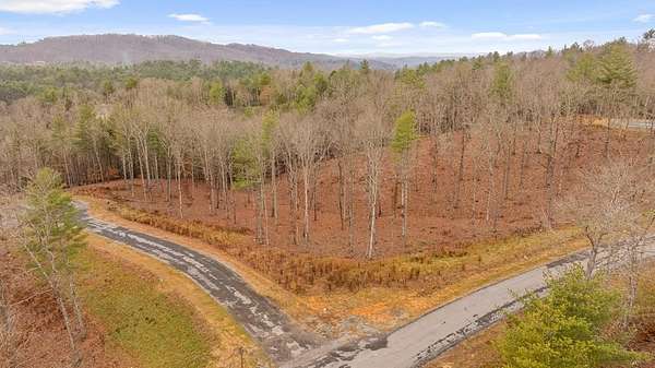 1 Acre of Residential Land for Sale in Morganton, Georgia