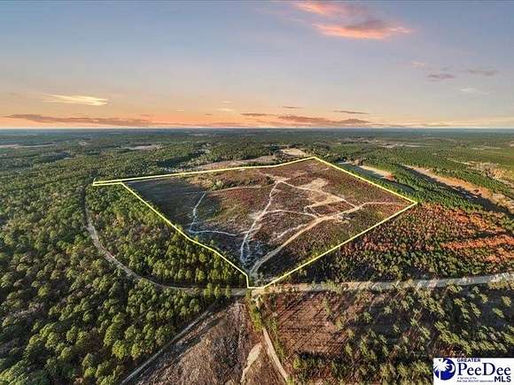 142 Acres of Recreational Land & Farm for Sale in Patrick, South Carolina