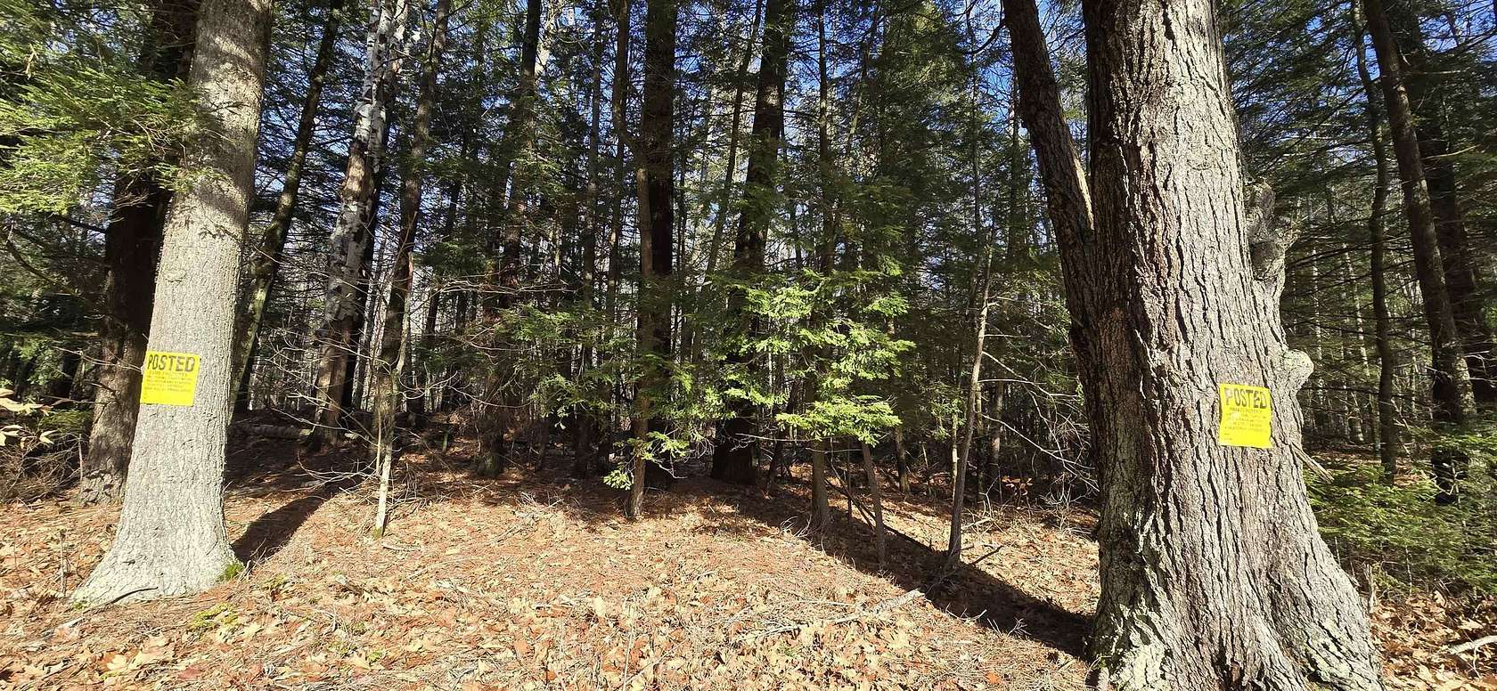 11.09 Acres of Land for Sale in Alton, New Hampshire