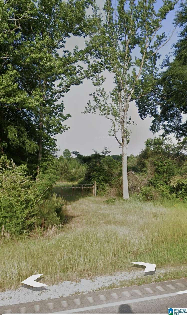 53.4 Acres of Land for Sale in Vincent, Alabama