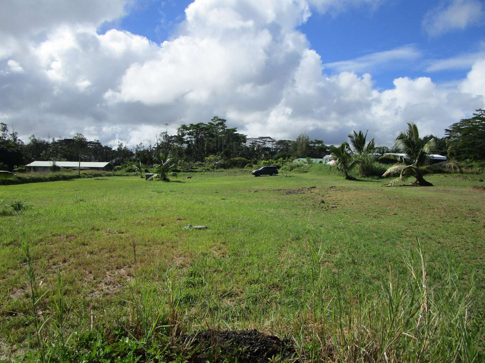 1 Acre of Land for Sale in Keaau, Hawaii