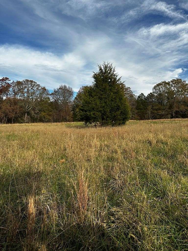 19.12 Acres of Land for Sale in Donalds, South Carolina